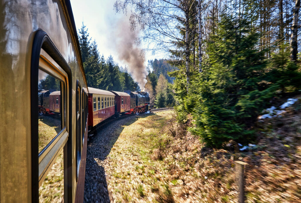 Ein dampfender Zug mit roten Wagen fährt durch dichten Nadelwald im Harz.