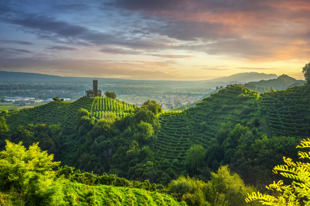 Terrassierte Weinberge bei Sonnenuntergang mit kleinem Turm über dem Tal.