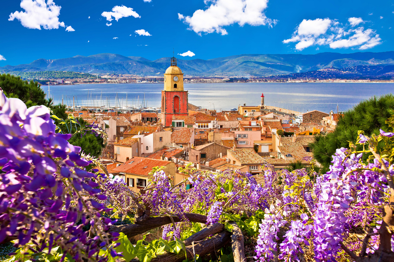 Aussicht auf Saint-Tropez in Frankreich mit terrakottafarbenen Dächern, gelbem Uhrturm, Yachthafen und tiefblauer Bucht, eingerahmt von blühender Wisteria.