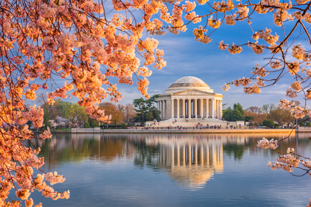Blick über das Tidal Basin auf das Jefferson Memorial, eingerahmt von rosa Kirschblüten mit Spiegelung im Wasser bei goldenem Abendlicht in Washington, D.C.