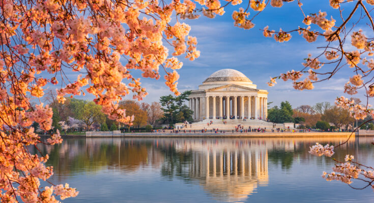 Blick über das Tidal Basin auf das Jefferson Memorial, eingerahmt von rosa Kirschblüten mit Spiegelung im Wasser bei goldenem Abendlicht in Washington, D.C.