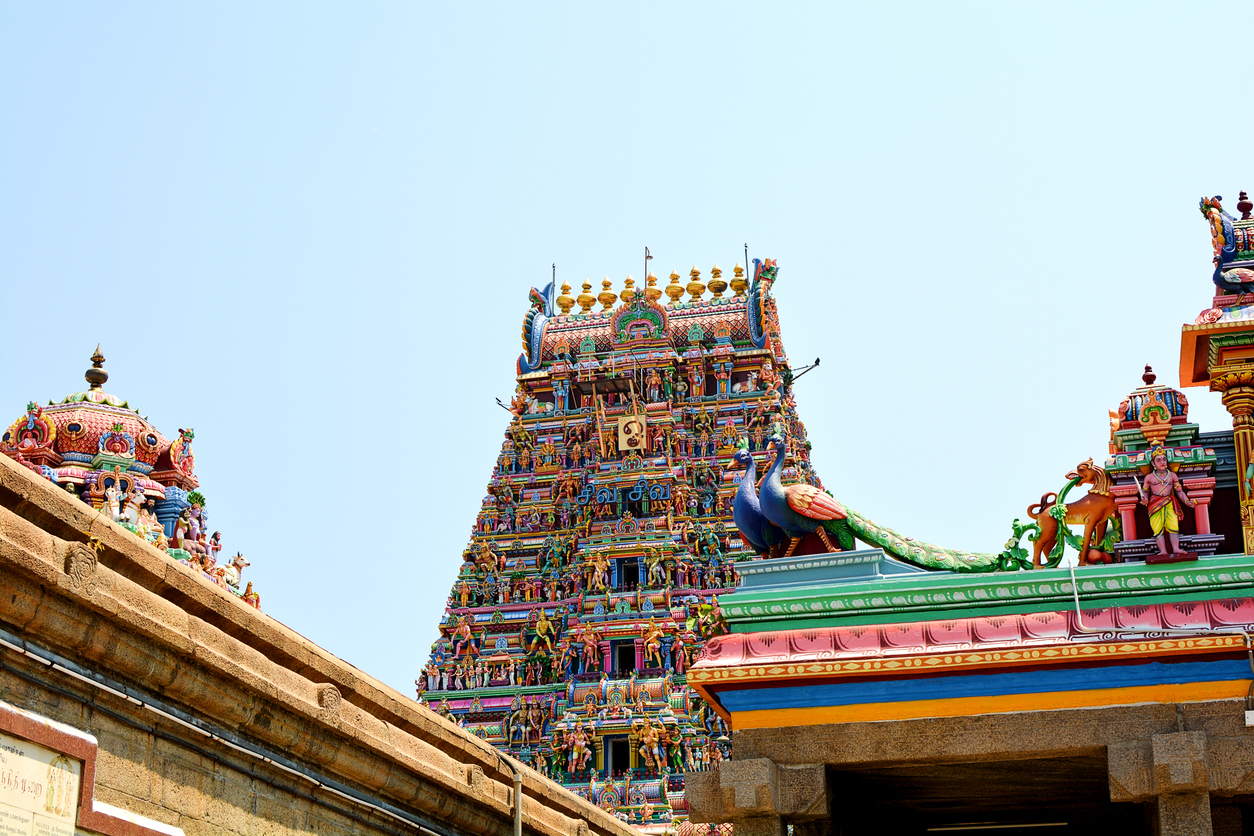 Farbintensiver Gopuram eines hinduistischen Tempels in Chennai mit unzähligen Figuren und Pfauen-Verzierungen vor blauem Himmel.