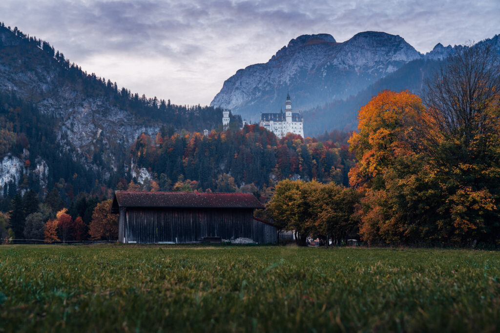 Blick über Wiese und Holzscheune auf Schloss Neuschwanstein, umgeben von herbstlichem Wald und Bergen.