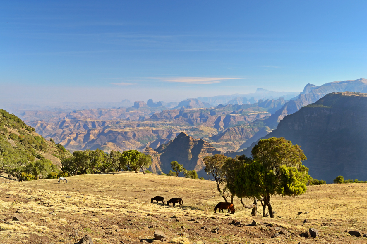 Panorama der zerklüfteten Täler und Plateaus des Simien-Gebirges unter blauem Himmel.