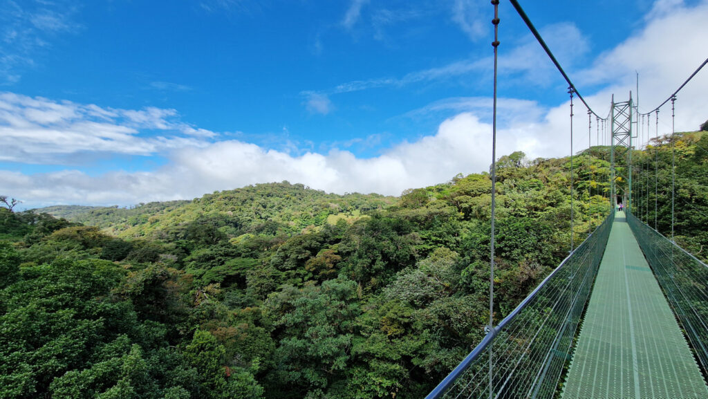 Lange grüne Hängebrücke über dichtem Nebelwald unter blauem Himmel.