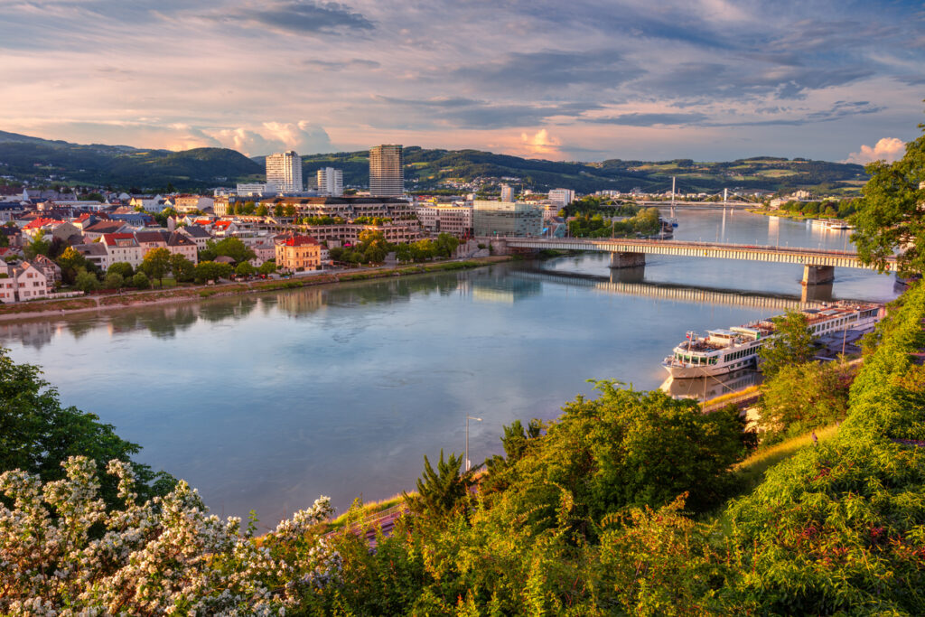 Panorama von Linz mit Donau, mehreren Brücken und angelegten Flusskreuzfahrtschiffen, gesehen von einem begrünten Hang.