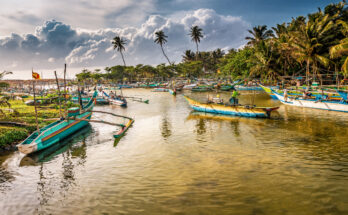 Zahlreiche farbige Ausleger-Fischerboote liegen in einer ruhigen Lagune in Sri Lanka, umgeben von Palmen und dramatischen Wolken.