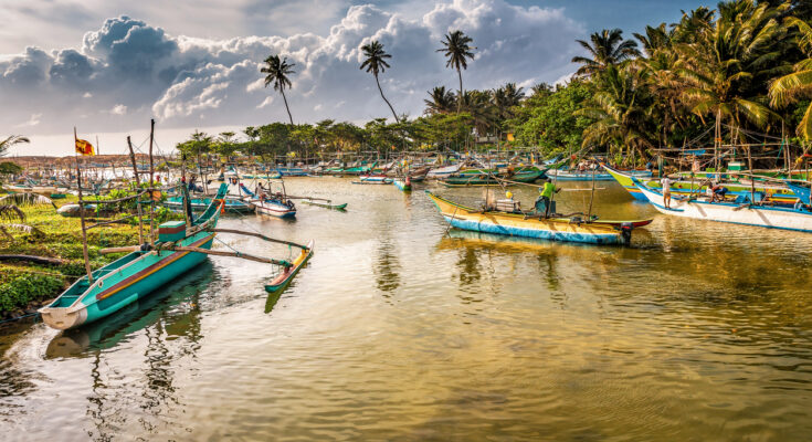 Zahlreiche farbige Ausleger-Fischerboote liegen in einer ruhigen Lagune in Sri Lanka, umgeben von Palmen und dramatischen Wolken.