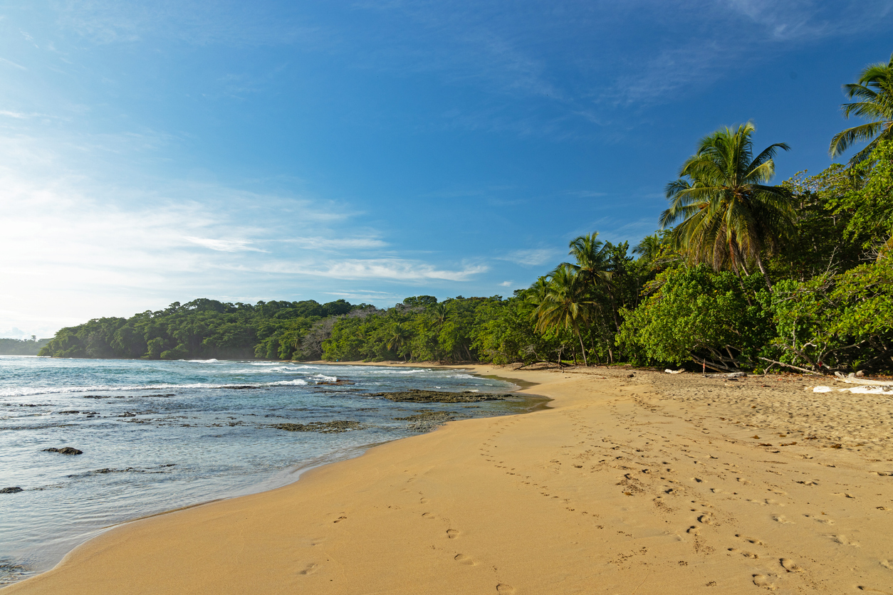 Breiter goldener Sandstrand mit Palmen und sanften Wellen unter klarem Himmel an Costa Ricas Karibikküste.