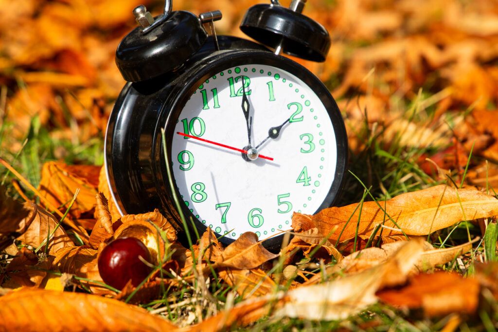 Schwarzer Wecker im bunten Herbstlaub als Symbol für die Umstellung auf Winterzeit.