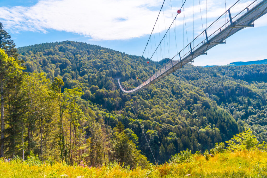 Eine lange Fußgänger-Hängebrücke überspannt ein grünes Schwarzwaldtal am Todtnauer Wasserfall.