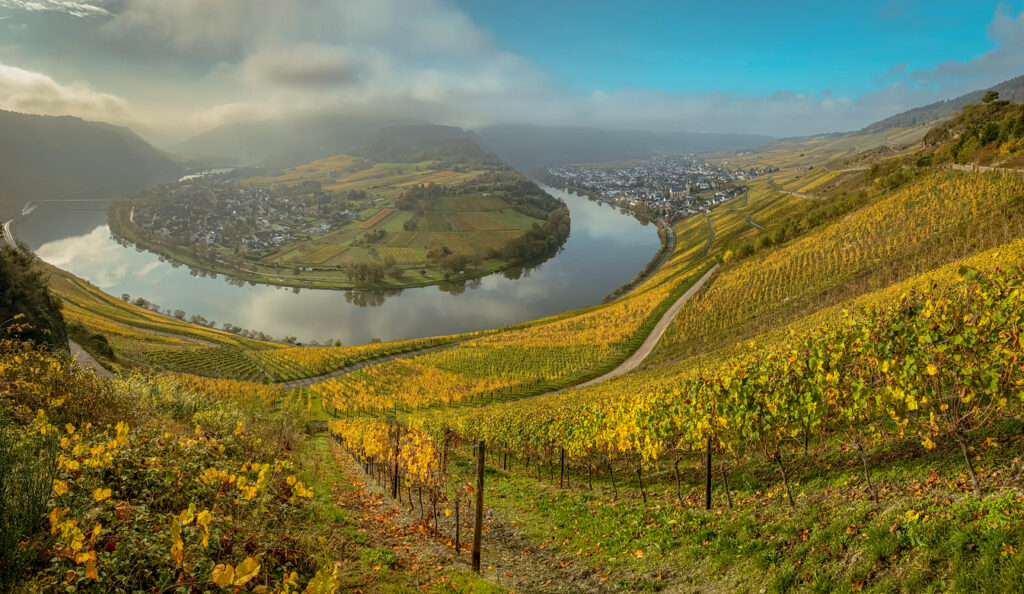 Weitblick auf eine Moselbiegung mit steilen Rebhängen und Dörfern am Ufer.