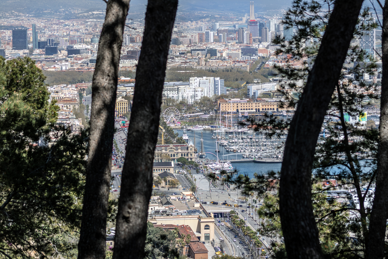 Durch Pinienstämme gerahmt sieht man den Yachthafen Port Vell, die Promenade und die dicht bebaute Stadt bis zu den Bergen.