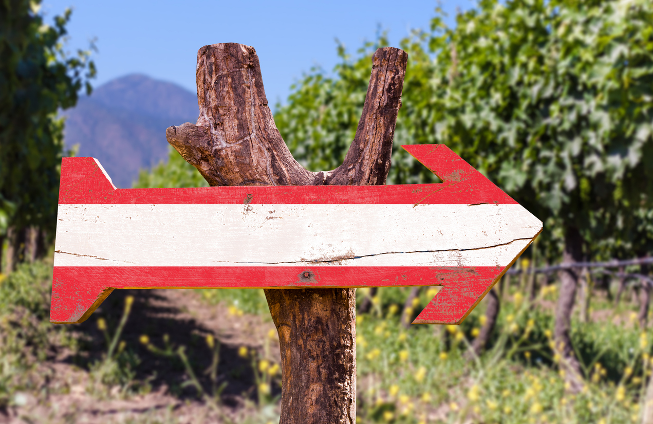 Holzpfeil in österreichischen Farben zeigt nach rechts vor unscharfem Weinberg.