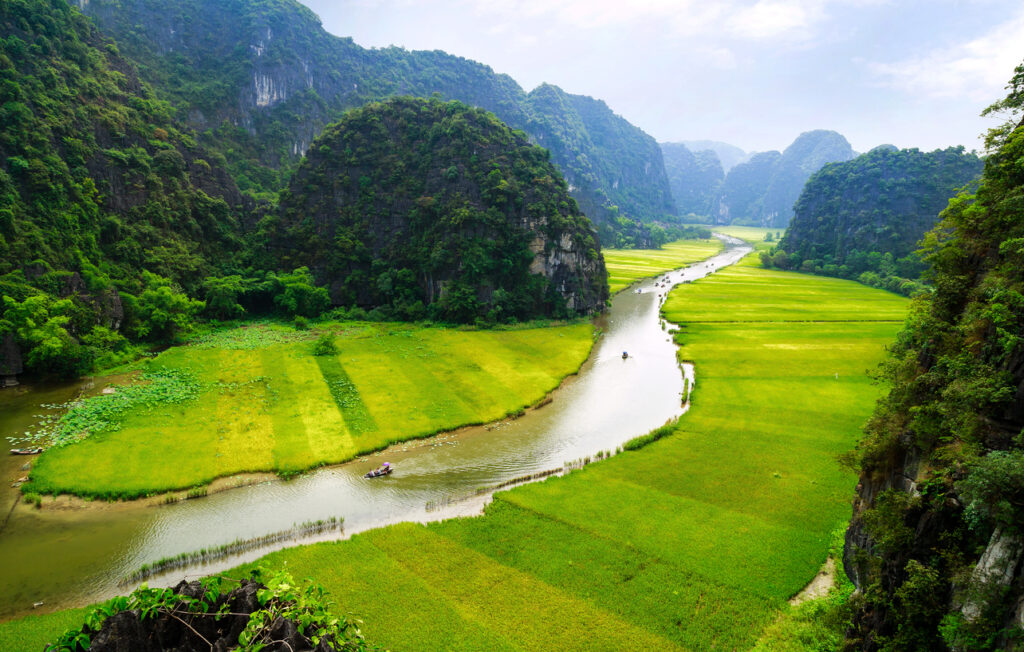 Panorama eines gewundenen Flusses durch leuchtend grüne Reisfelder zwischen Kalkkarstbergen bei Ninh Binh, mit kleinen Ruderbooten.