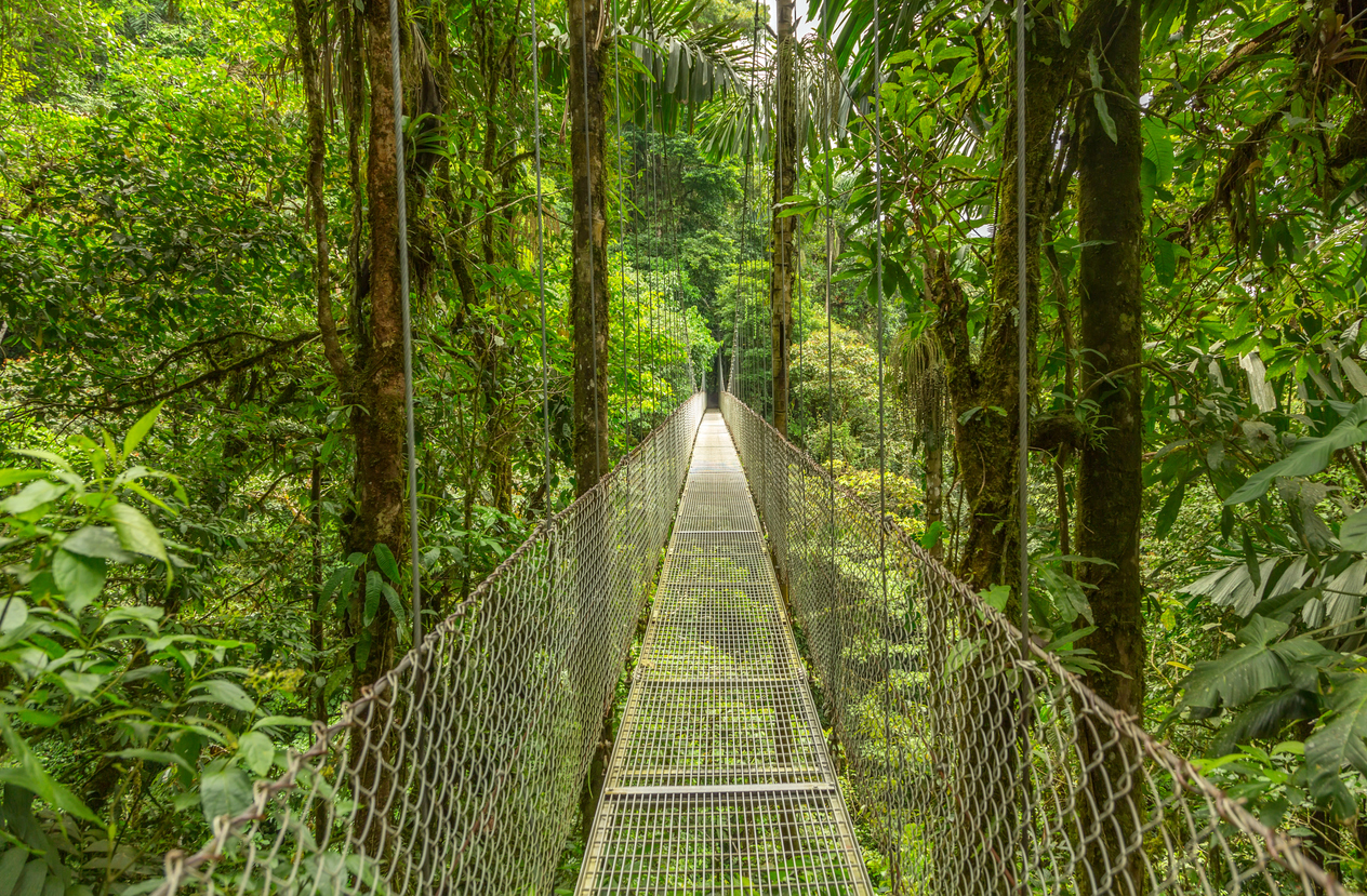Schmale Hängebrücke führt durch dichten Regenwald nahe dem Vulkan Arenal.