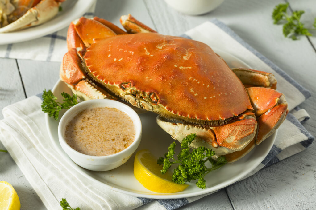 Ganze gekochte Dungeness-Krabbe auf Teller mit Zitronenspalte, Petersilie und Schälchen geschmolzener Butter.