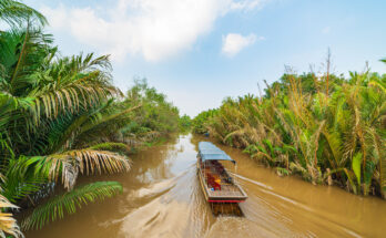 Überdachtes Holzboot fährt auf braunem Kanal zwischen dichten Palmen.