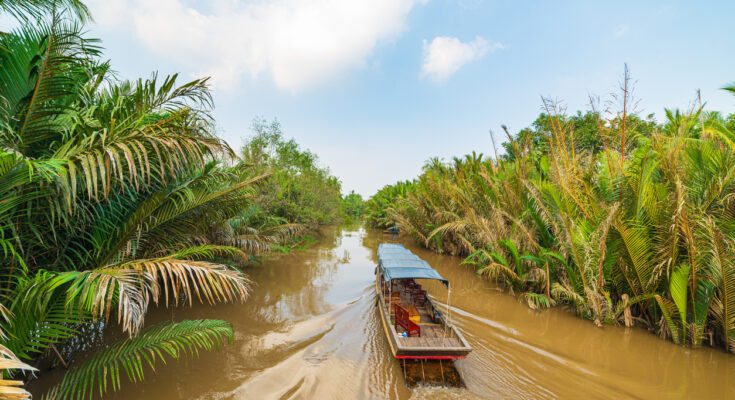 Überdachtes Holzboot fährt auf braunem Kanal zwischen dichten Palmen.