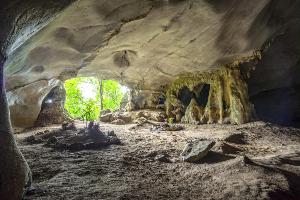 Weite Höhlenkammer im Cuc Phuong Nationalpark mit Öffnung zum Wald.