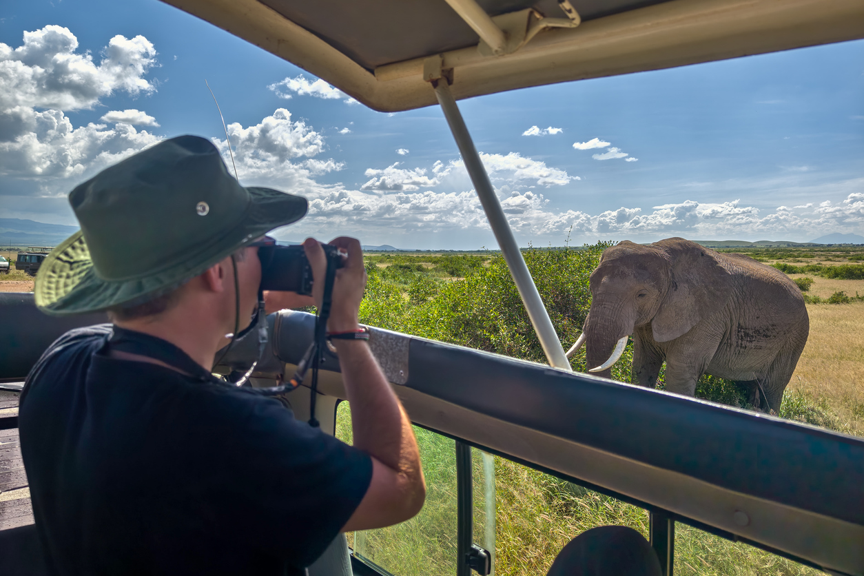 Ein Tourist fotografiert aus einem offenen Geländewagen einen nahen Elefanten im Kruger Nationalpark.