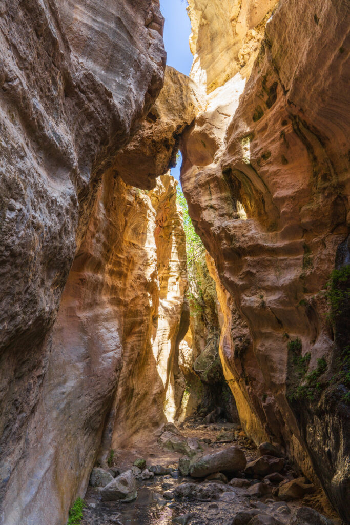Enge Schlucht mit hohen Sandsteinwänden und Felsbogen in der Avakas-Schlucht.