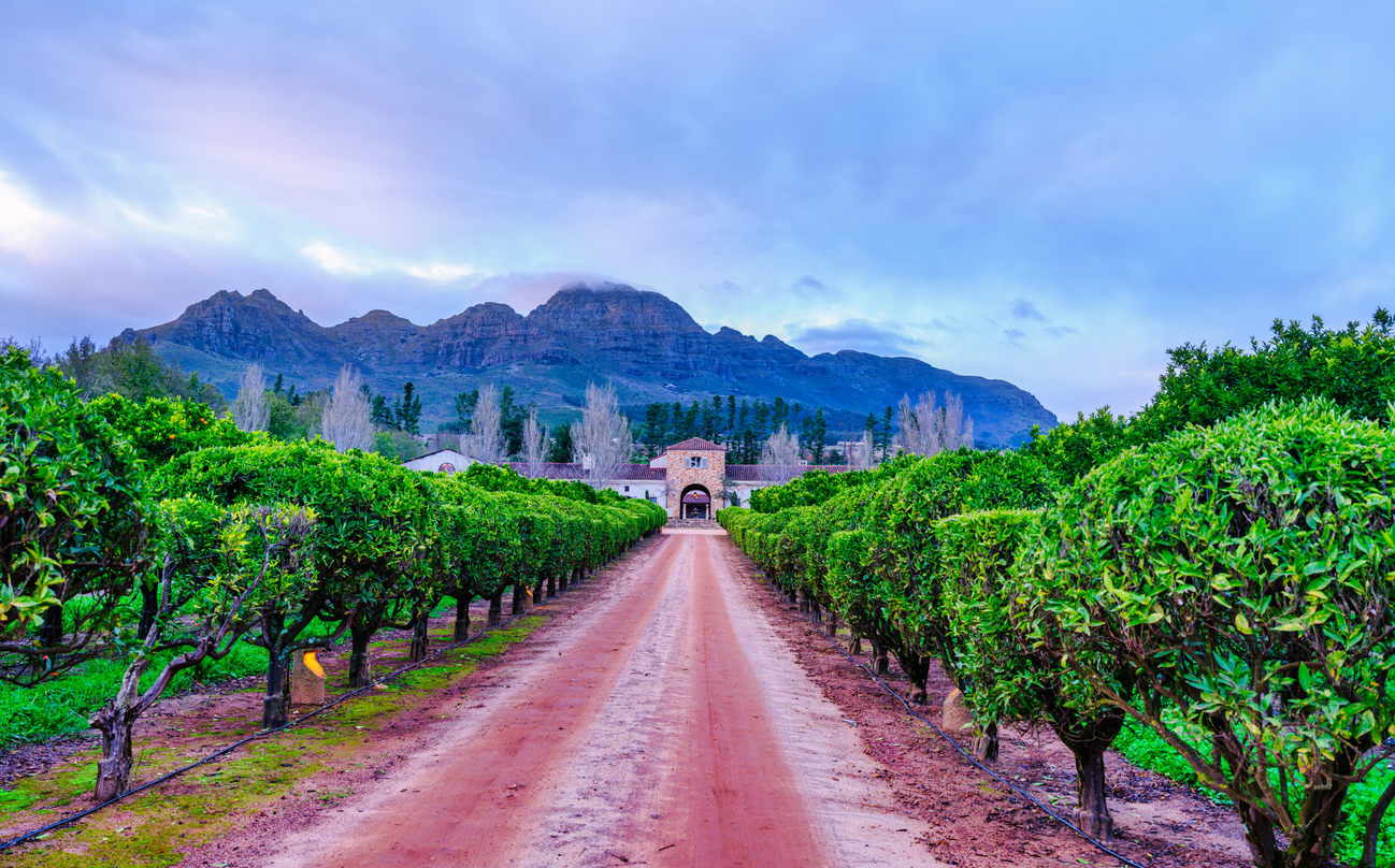 Gerade Landstraße führt zwischen Obstreihen zu einem Gutshaus mit Bergen im Hintergrund.