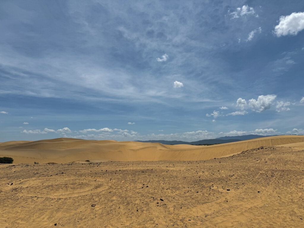 Weite goldene Sanddünen unter großem blauem Himmel im Nationalpark.