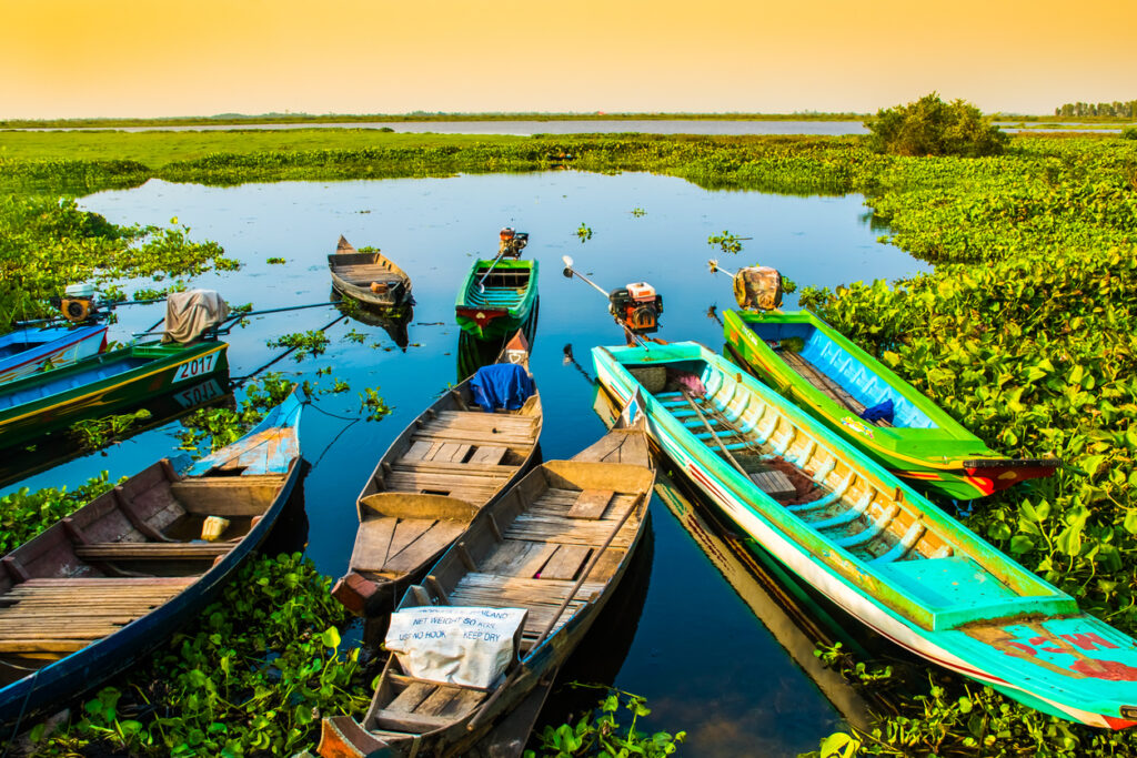Bunte Holzboote liegen im Schilf am ruhigen Wasser des Tonle-Sap-Sees.