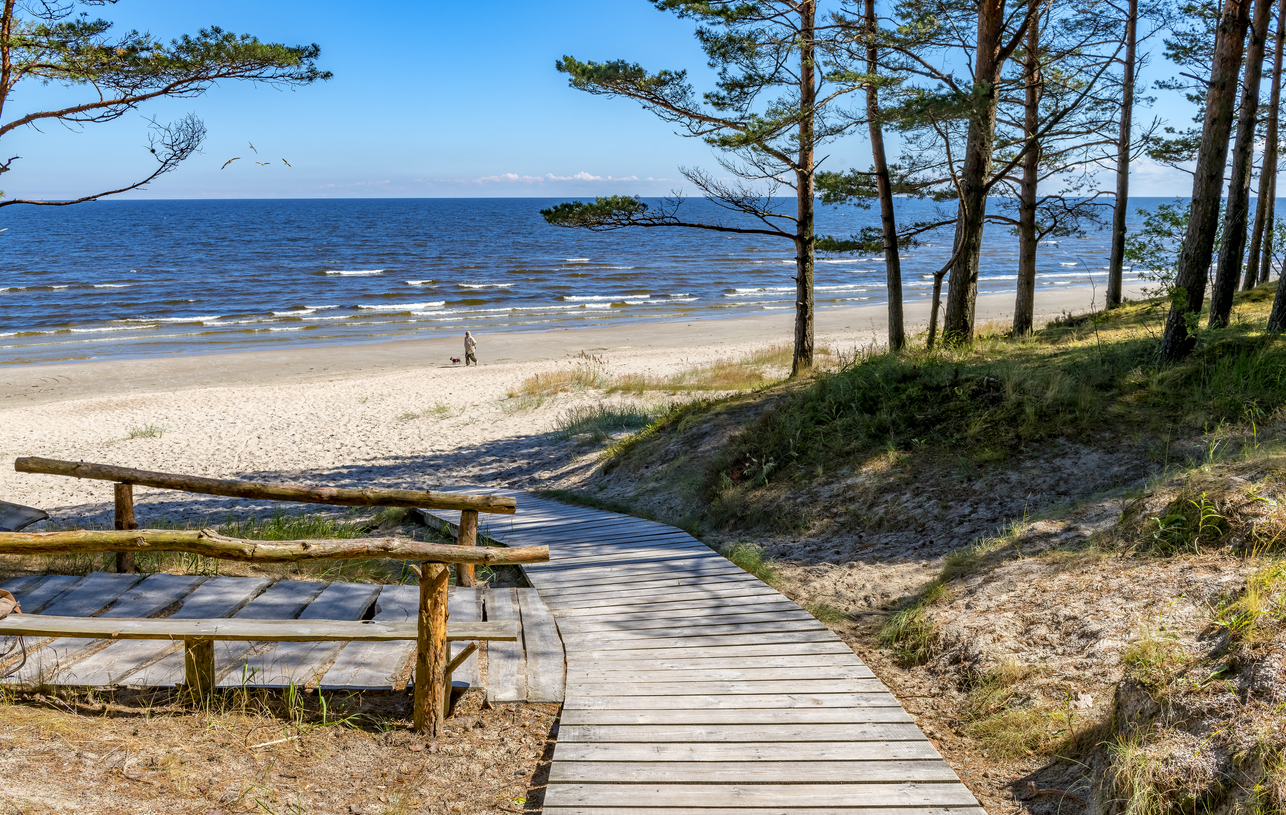Holzsteg zwischen Kiefern hinunter zum breiten Sandstrand in Jūrmala.