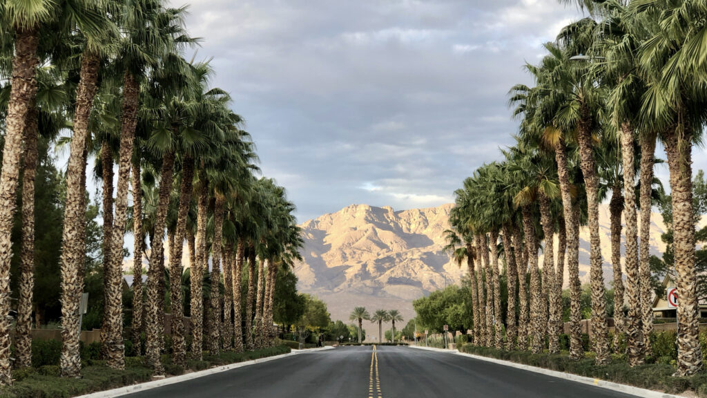 Palmenallee in Las Vegas mit gerader Straße und Bergen im Hintergrund unter wolkigem Himmel.
