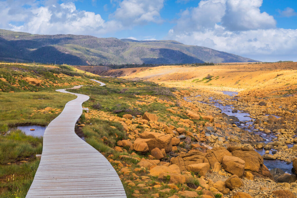Geschwungener Holzsteg führt durch gelbrote Felslandschaft im Gros Morne Nationalpark in Neufundland.