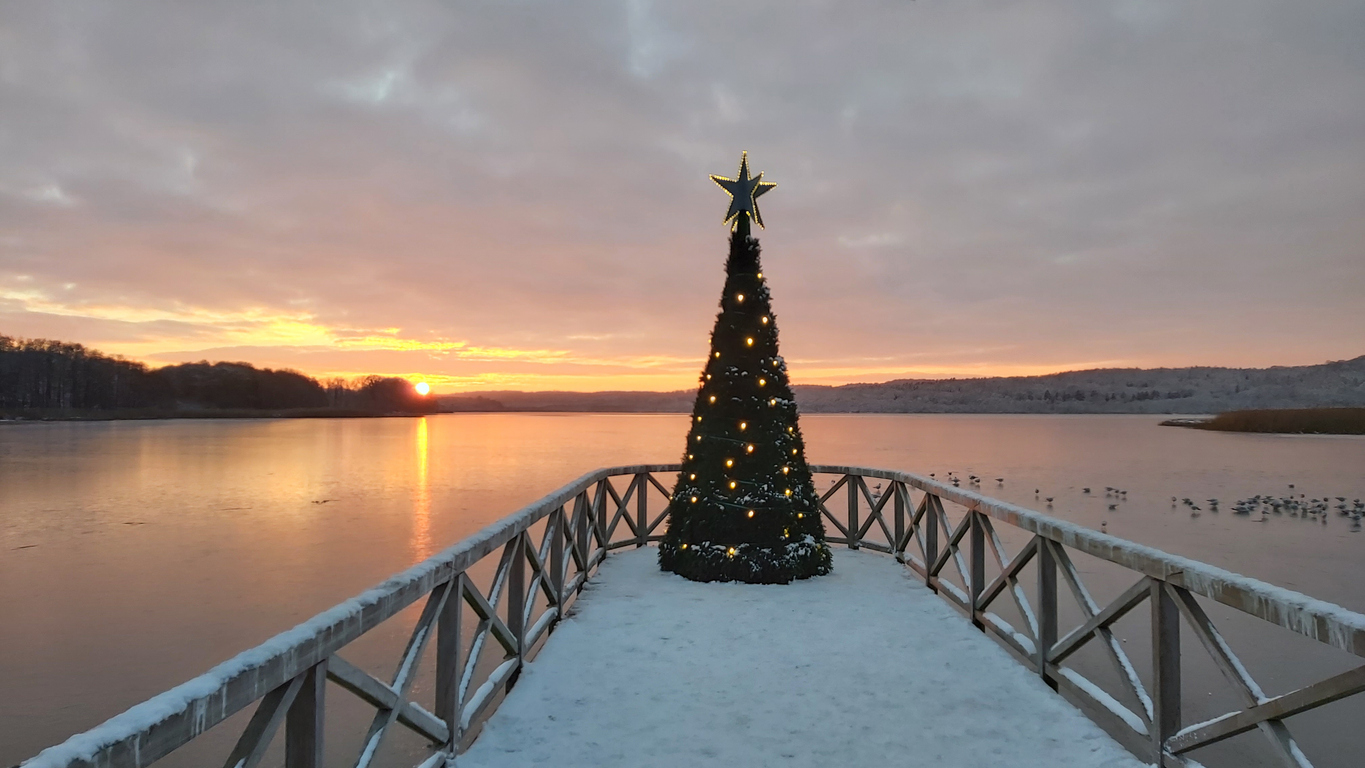 Geschmückter Weihnachtsbaum auf einem verschneiten Steg bei Sonnenaufgang an einem winterlichen See in Binz.