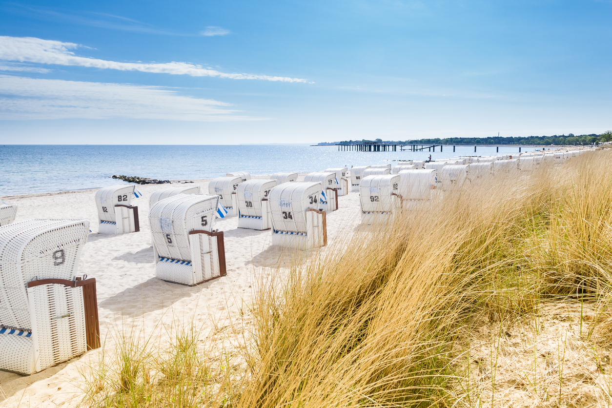 Weiße Strandkörbe stehen in Reihen am Sandstrand der deutschen Ostseeküste neben Dünengras.
