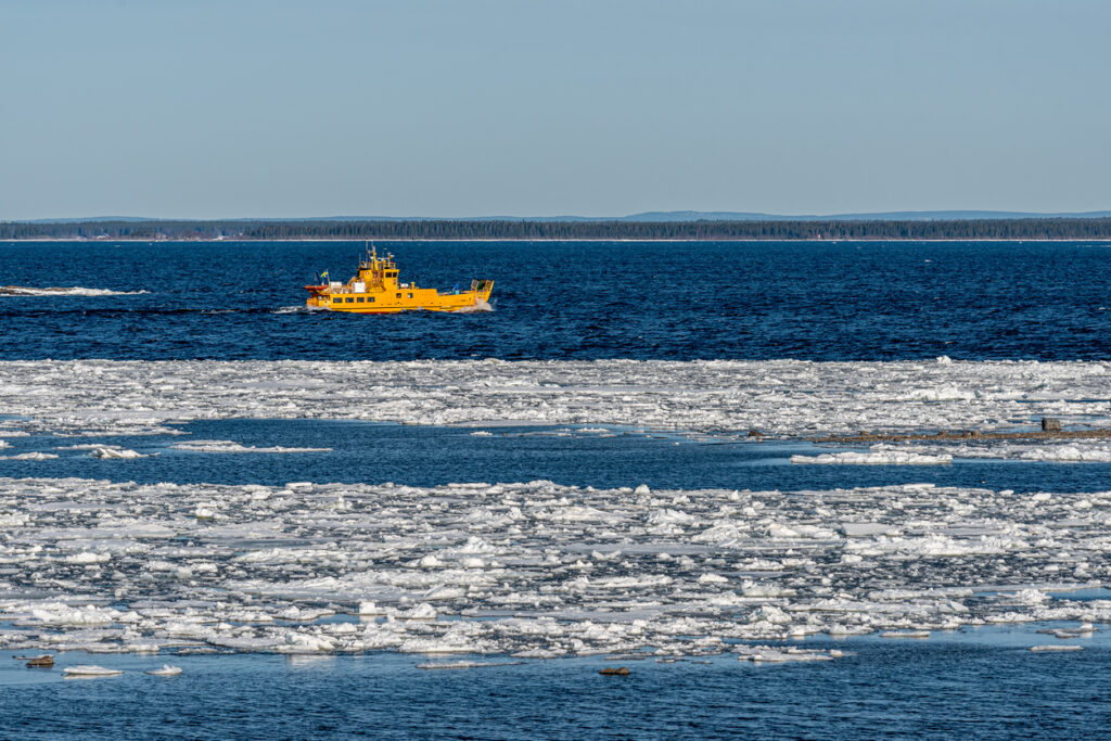 Ein gelbes Schiff fährt im Bottnischen Meerbusen an Eisfeldern vorbei über dunkles Wasser.