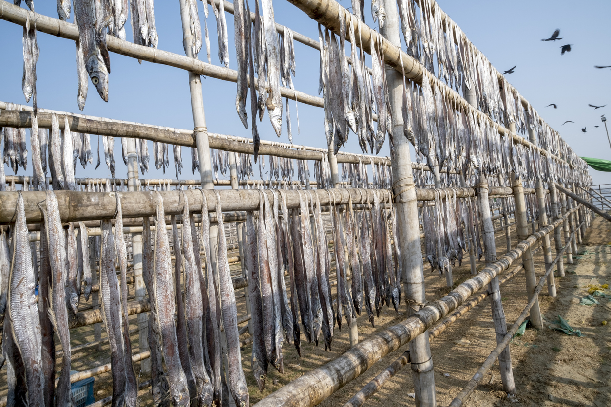 Reihen von aufgehängten Fischen trocknen an Holzgestellen in der Sonne von Cox’s Bazar.