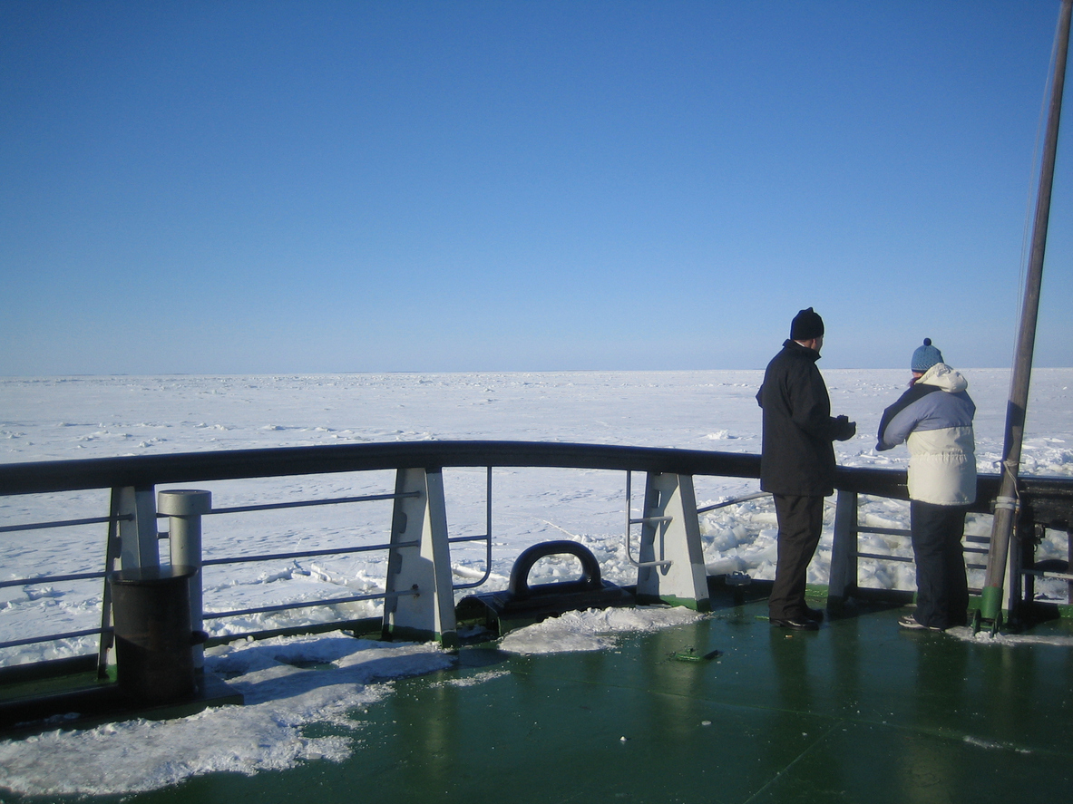 Zwei Menschen stehen an der Reling und schauen über eine weite, zugefrorene Meeresfläche.