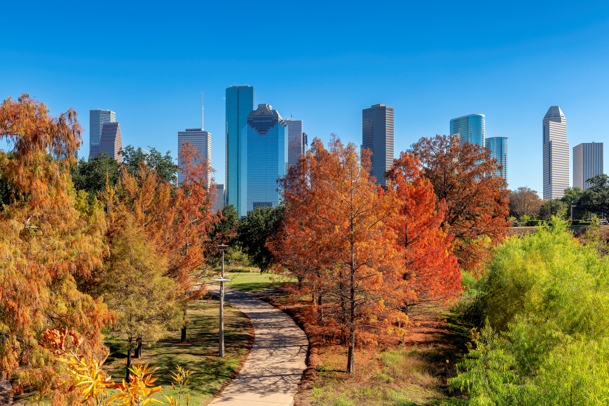 Bunte Herbstbäume in einem Park in Houston mit moderner Skyline im Hintergrund unter blauem Himmel.