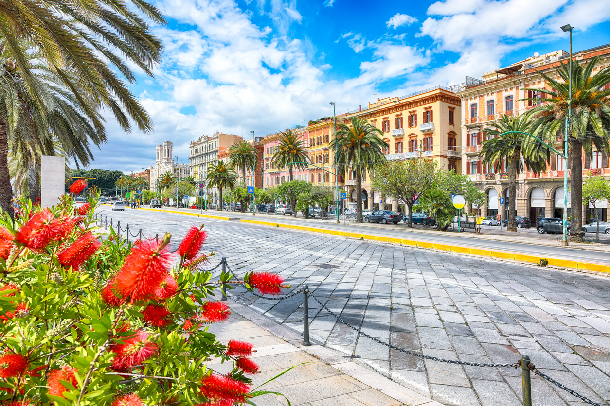 Breite Straße in Cagliari mit Palmen, historischen Häuserfassaden und roten Blüten im Vordergrund.