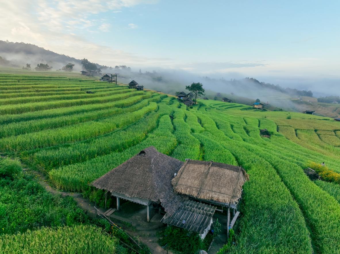 Traditionelle Holzhäuser stehen zwischen grünen Reisterrassen in den Bergen nahe Chiang Mai, die von Morgennebel umhüllt sind.