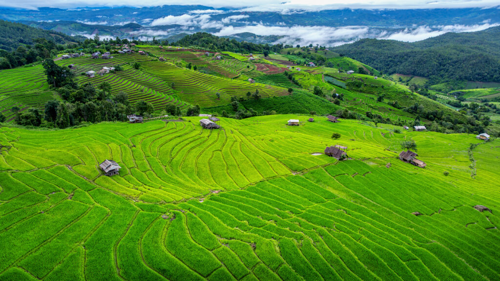 Panorama mit leuchtend grünen Reisterrassen und verstreuten Holzhütten in der Berglandschaft rund um Chiang Mai.