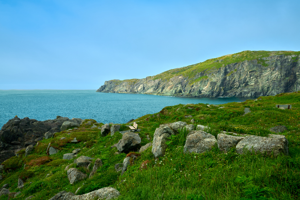 Grüne Klippen mit Felsen und Blick auf eine weite Bucht an der Küste von Neufundland.