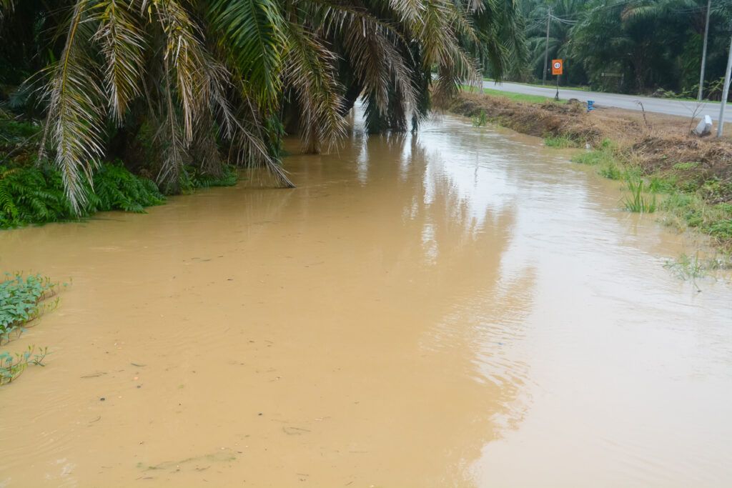 Braunes Hochwasser hat nach dem Monsun einen Graben überflutet, neben Palmen und einer Straße.
