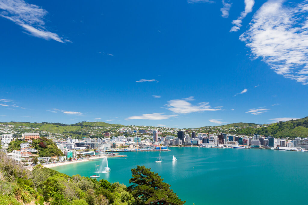 Panoramablick auf die Bucht und Skyline von Wellington mit türkisblauem Meer und grünen Hügeln.