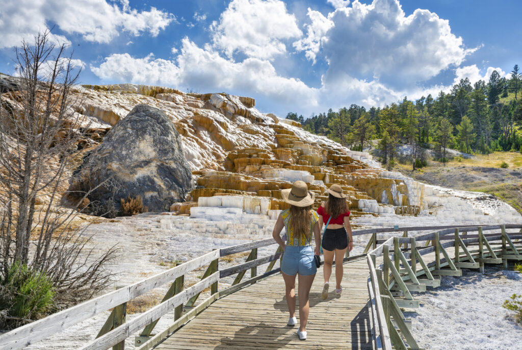 Zwei Besucherinnen laufen über einen Holzsteg an weißen und goldenen Sinterterrassen im Yellowstone Nationalpark.