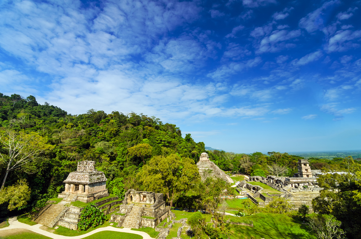 Blick auf die Ruinen von Palenque mit steinernen Tempeln und dichtem Regenwald unter blauem Himmel.