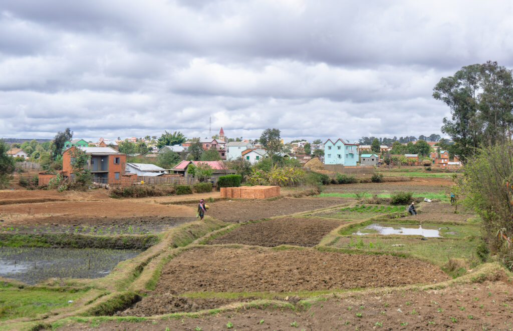 Schmale Dämme trennen braune und grüne Felder, dahinter stehen bunte Häuser unter grauen Wolken.