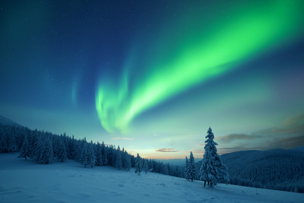 Ein grünes Polarlicht zieht über eine verschneite Hügellandschaft mit Tannen.