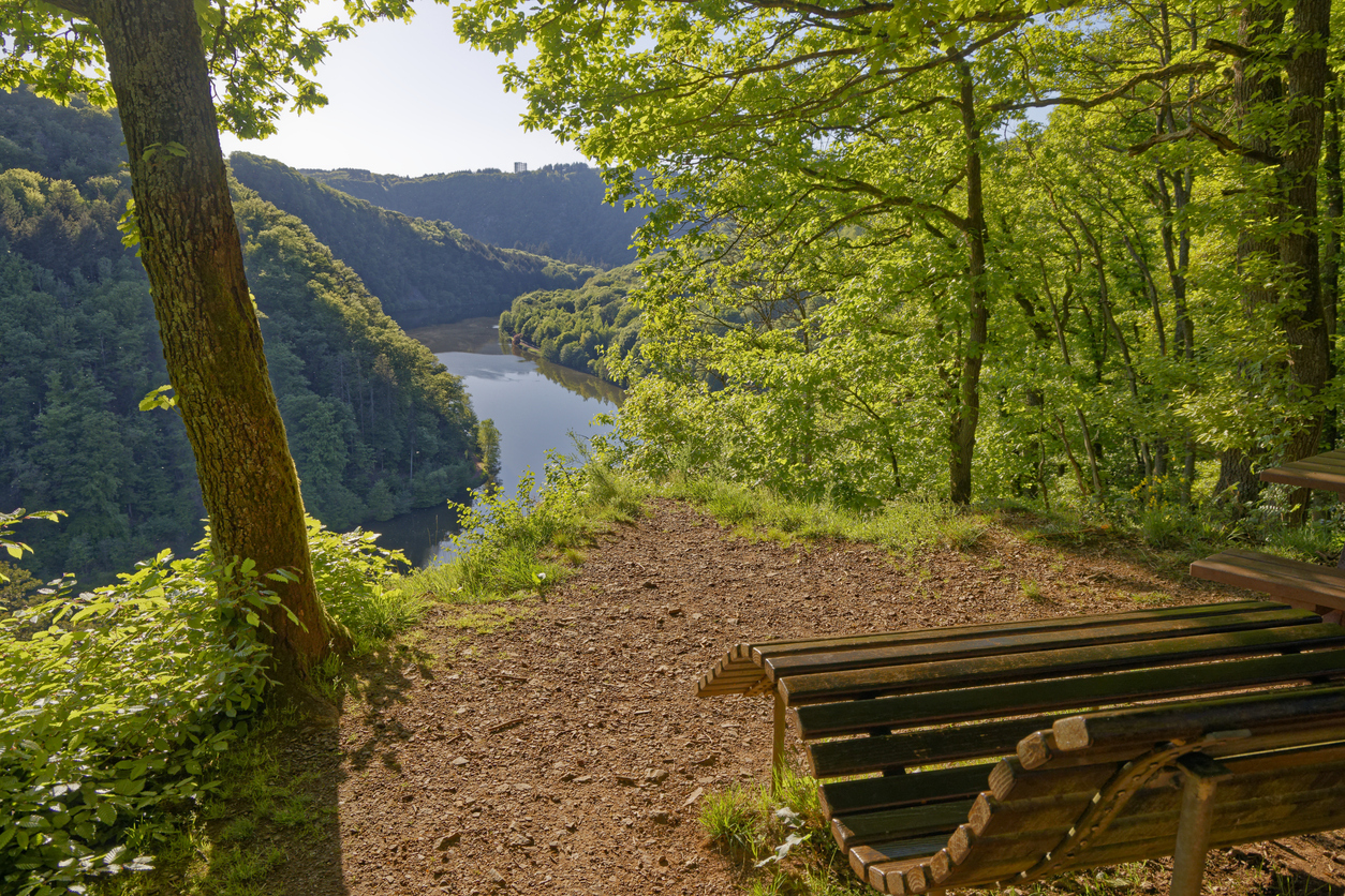 Holzbank an einem Aussichtspunkt mit Blick ins bewaldete Saartal.