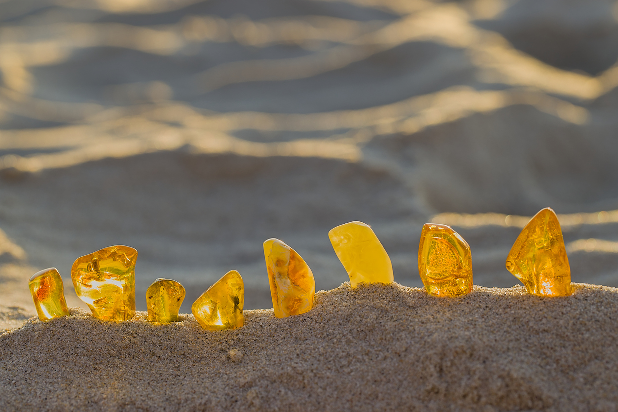 Mehrere goldene Bernsteinstücke stecken im feinen Sand am Strand von Kolberg.